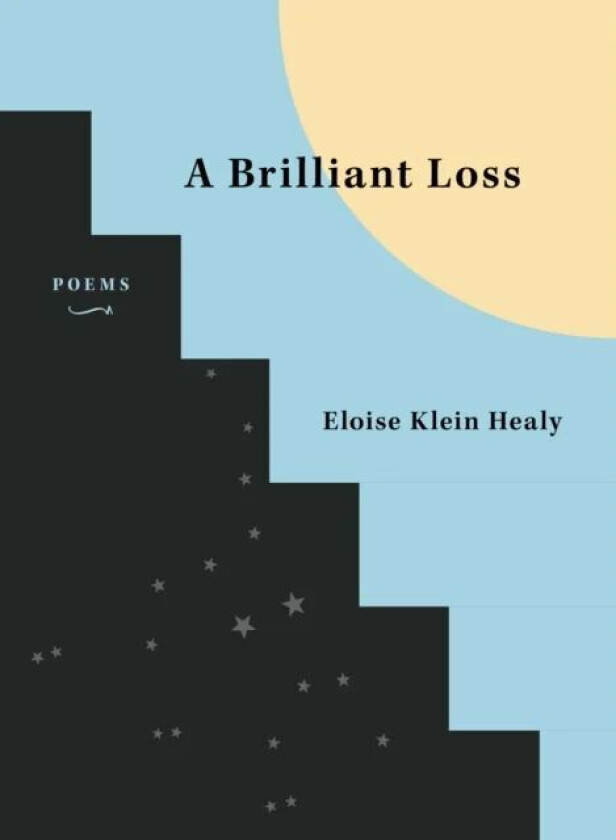 A Brilliant Loss av Eloise Klein Healy