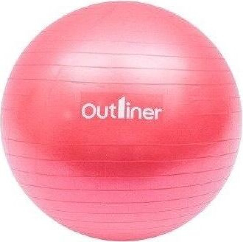 Antiburst Gym Ball Pvc Ls3222-55Cm