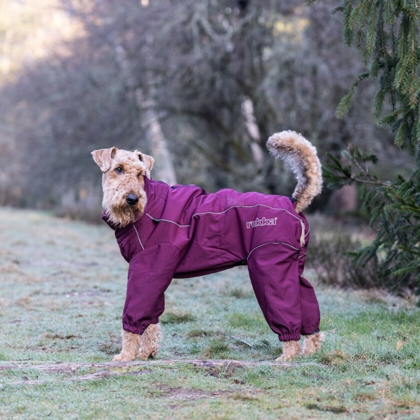 Rukka Thermal Hundeoverall Vinrød (50 cm)