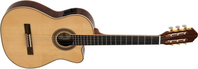 Tb-100 Classical Guitar Nature