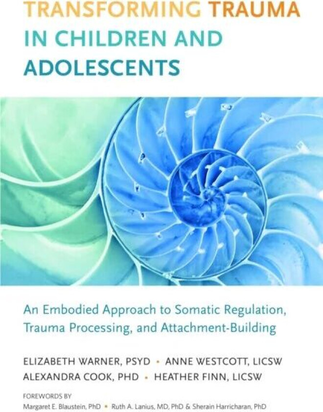 Transforming Trauma in Children and Adolescents av Elizabeth Warner, Heather Finn