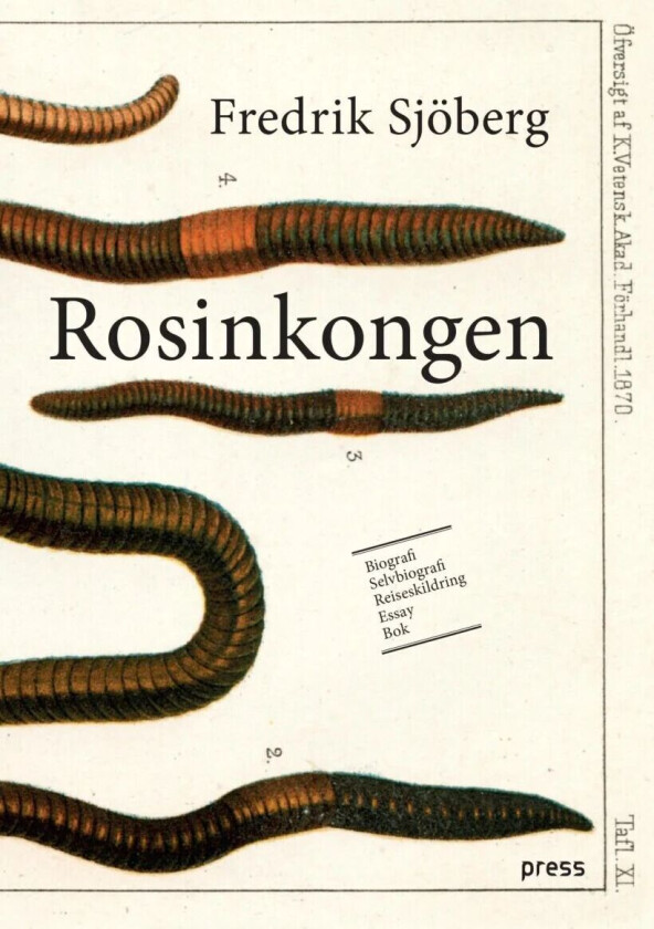 Rosinkongen av Fredrik Sjöberg