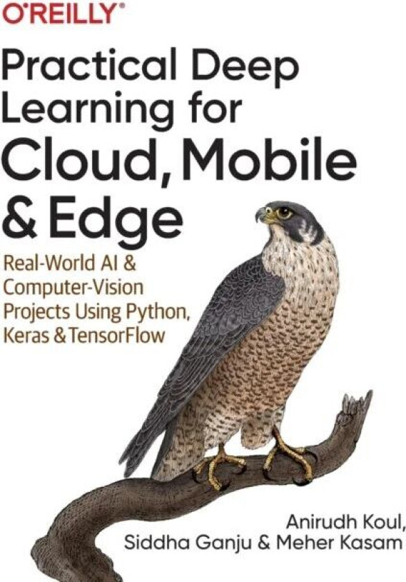 Practical Deep Learning for Cloud and Mobile av Anirudh Koul, Siddha Ganju, Meher Kasam