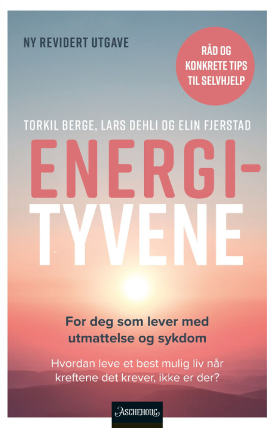 Energityvene av Torkil Berge, Lars Dehli, Elin Fjerstad