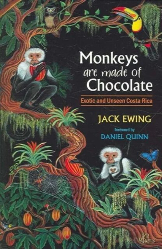 Monkeys Are Made of Chocolate av Jack Ewing