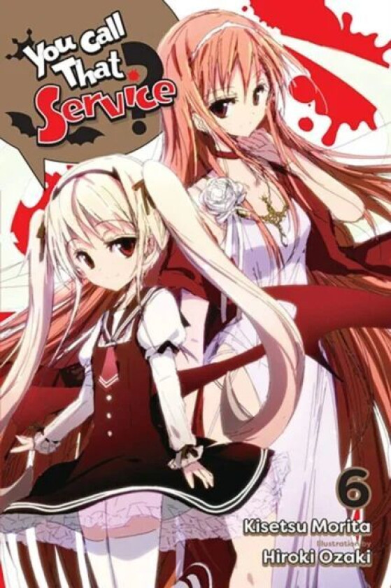 You Call That Service?, Vol. 6 (light novel) av Kisetsu Morita