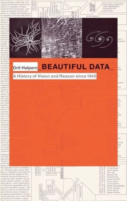 Beautiful Data av Orit Halpern