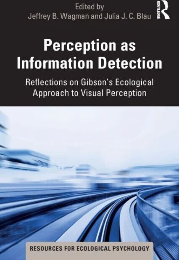 Perception as Information Detection