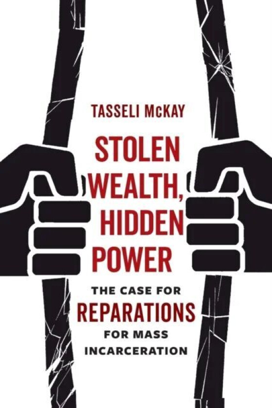 Stolen Wealth, Hidden Power av Tasseli McKay