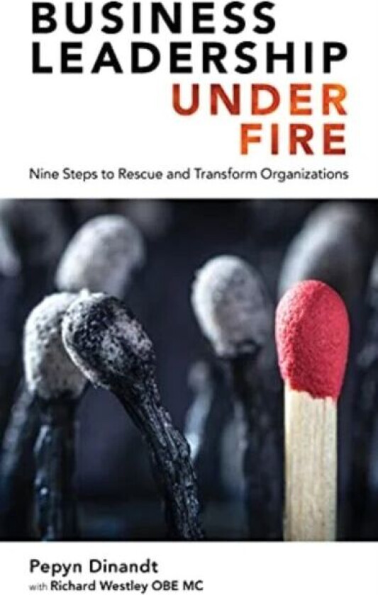 Business Leadership Under Fire av Pepyn Dinandt