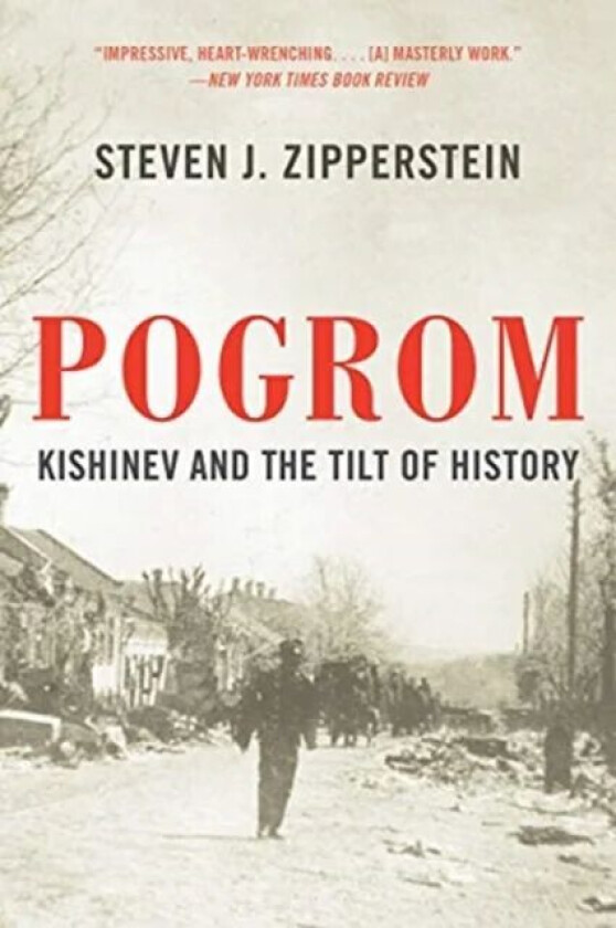 Pogrom av Steven J. Zipperstein