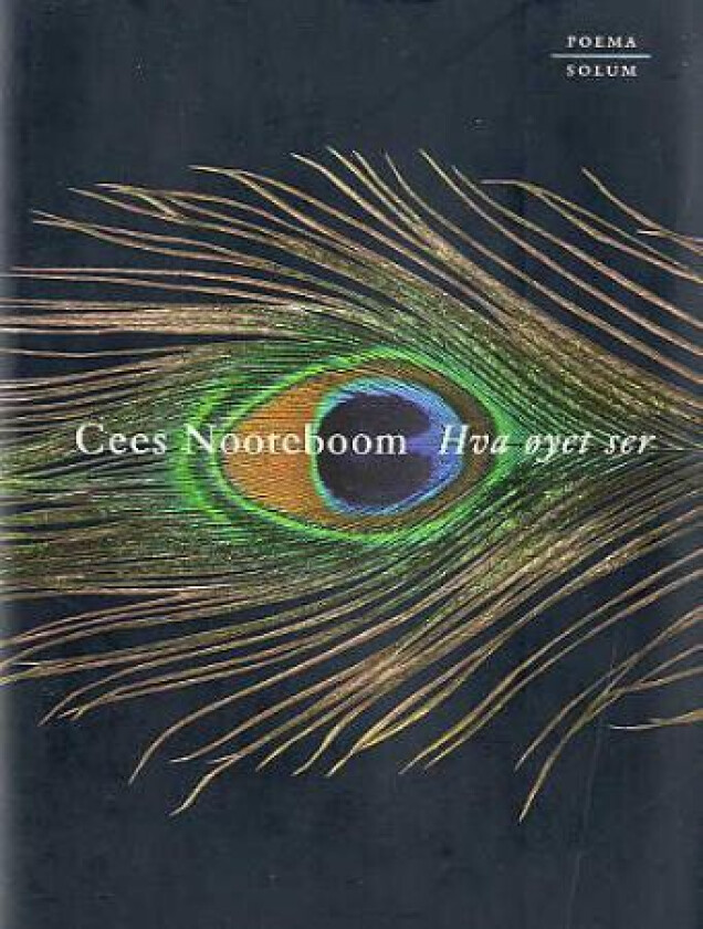 Hva øyet ser av Cees Nooteboom