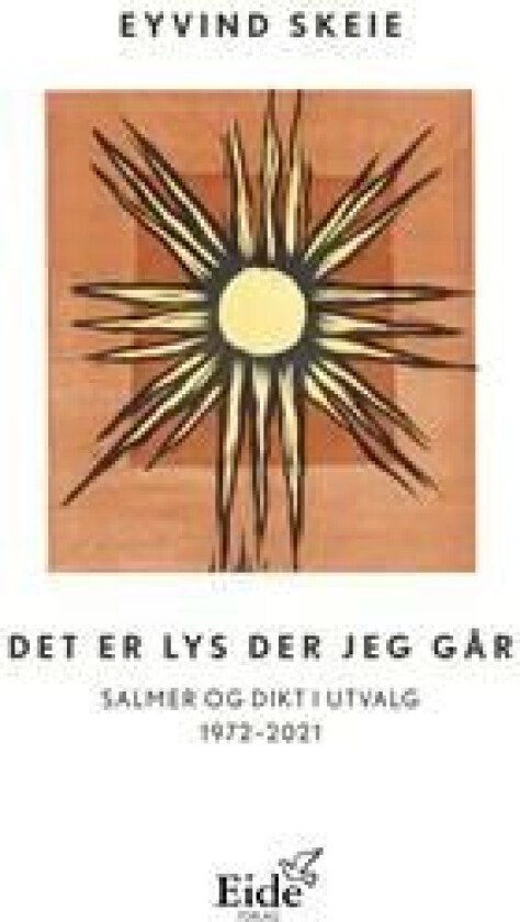 Det er lys der jeg går av Eyvind Skeie