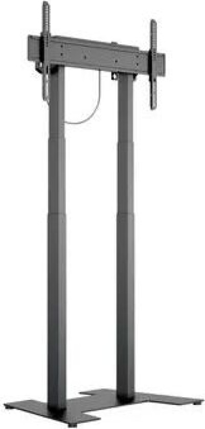 M Motorized Floorbase 60kg Svart