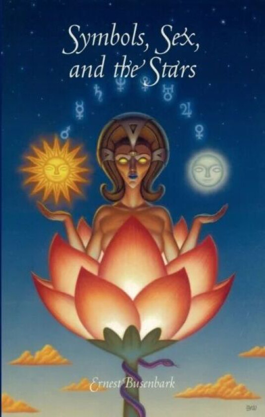 Symbols, Sex and the Stars av Ernest Busenbark