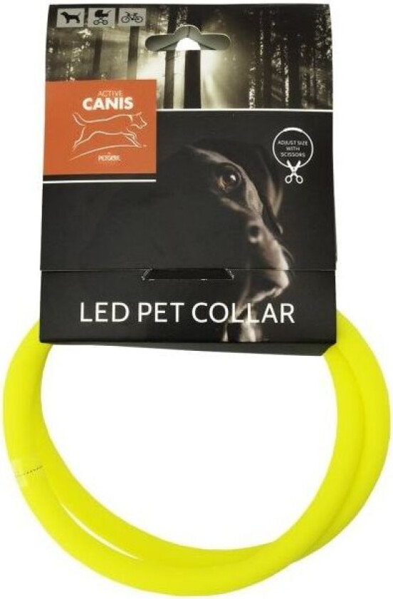 USB LED Pet Collar yellow