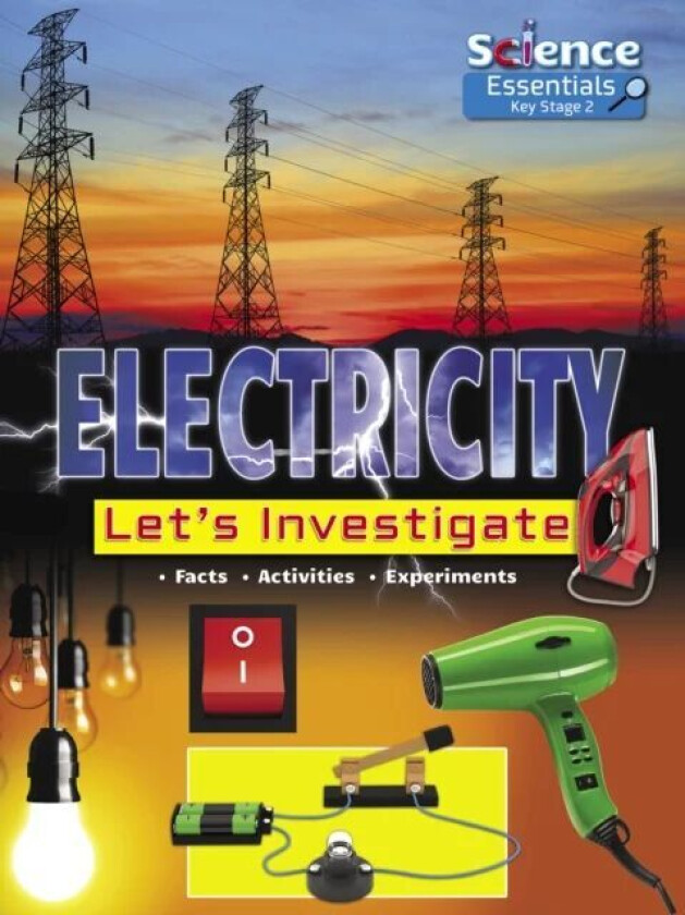 Electricity: Let's Investigate av Ruth Owen