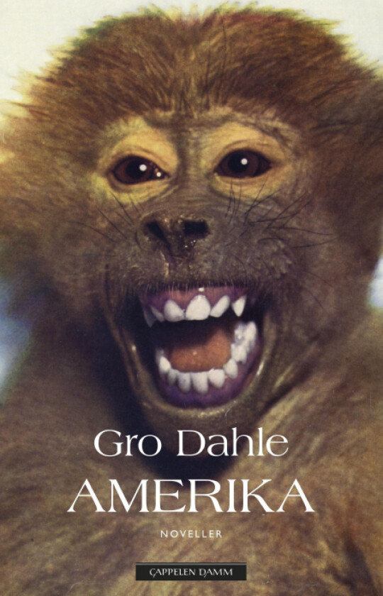 Amerika av Gro Dahle