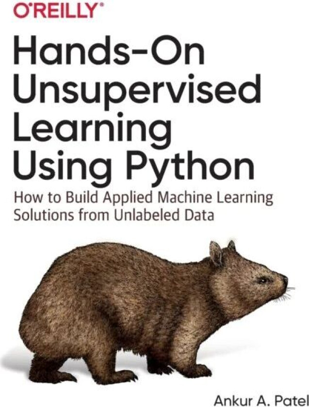 Hands-On Unsupervised Learning Using Python av Ankur A. Patel