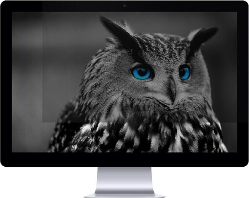 OWL - Skjerm