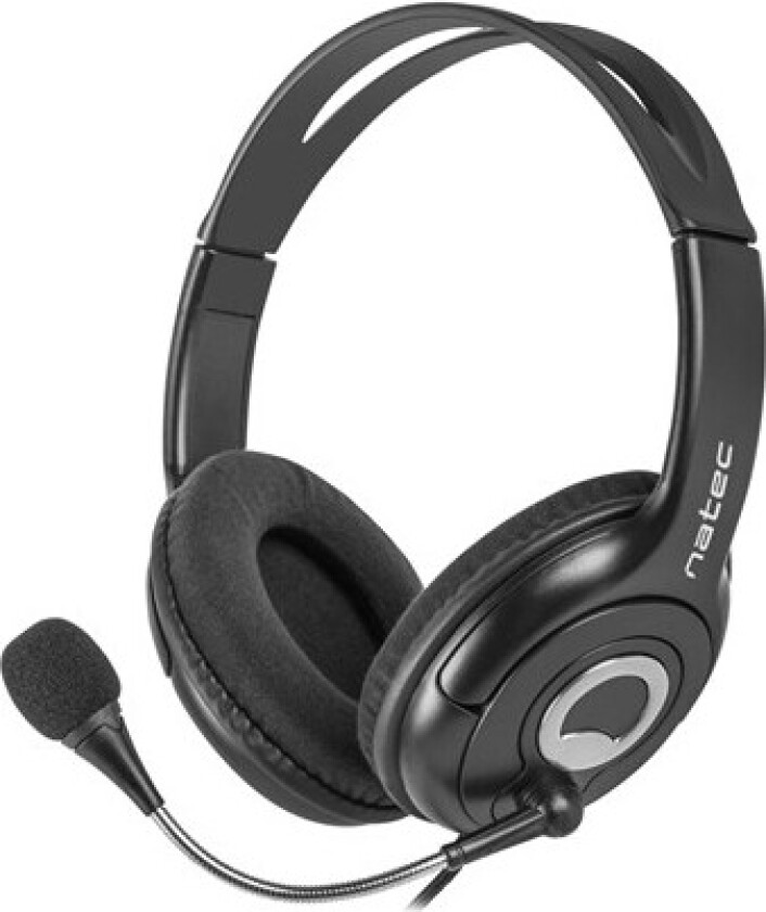 Bear 2 - headset