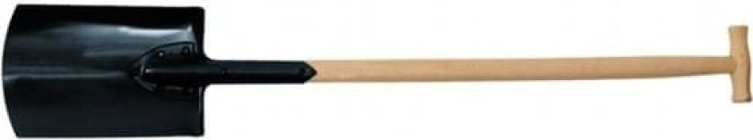 Romanowskis HAGESPADE