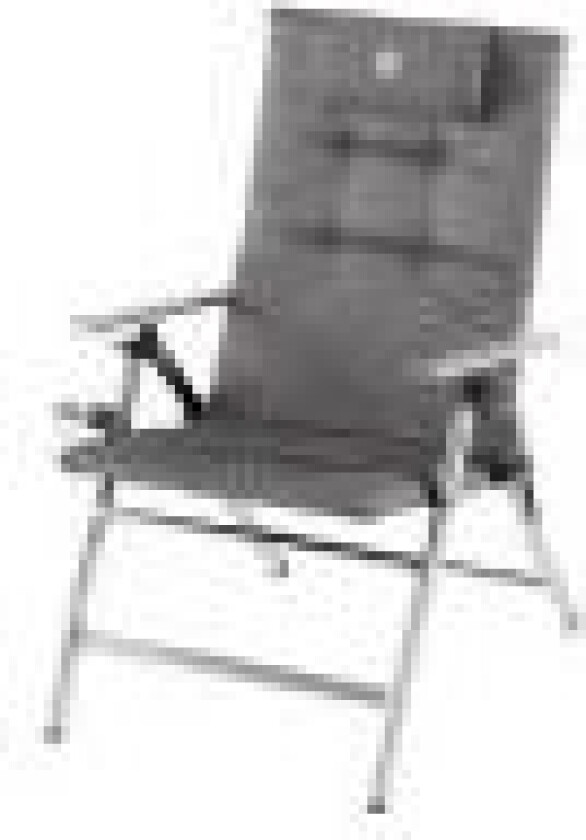 5 Position Padded Recliner Chair, 120 kg, Campingstol, 4 ben, 5 kg, Grå