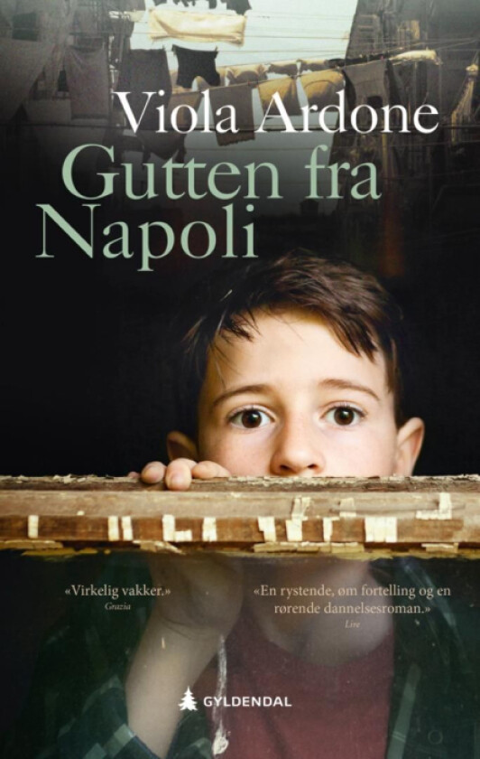 Gutten fra Napoli av Viola Ardone