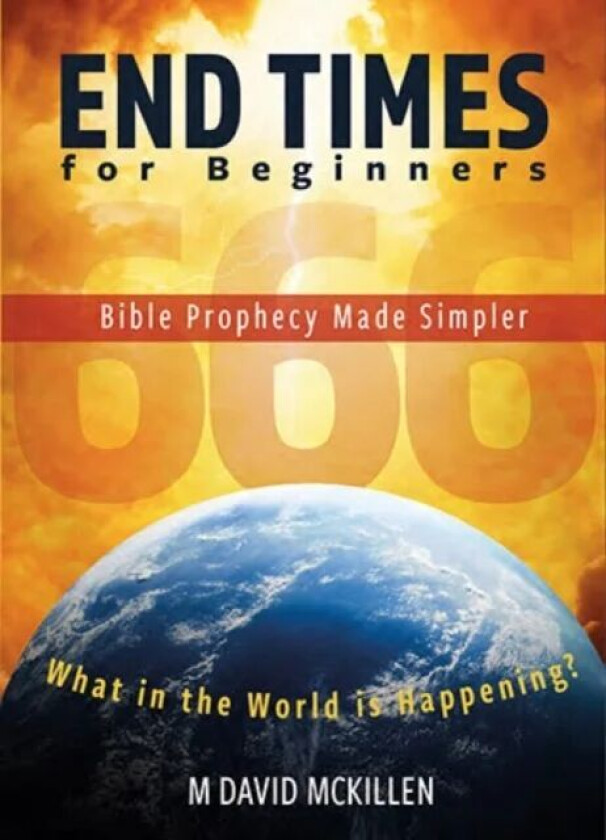 End Times for Beginners av M David McKillen