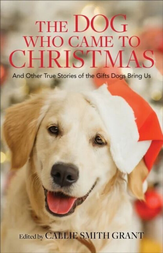 The Dog Who Came to Christmas - And Other True Stories of the Gifts Dogs Bring Us av Callie Smith Grant