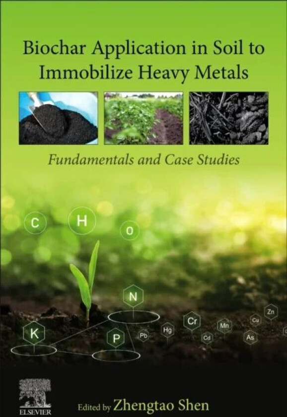 Biochar Application in Soil to Immobilize Heavy Metals