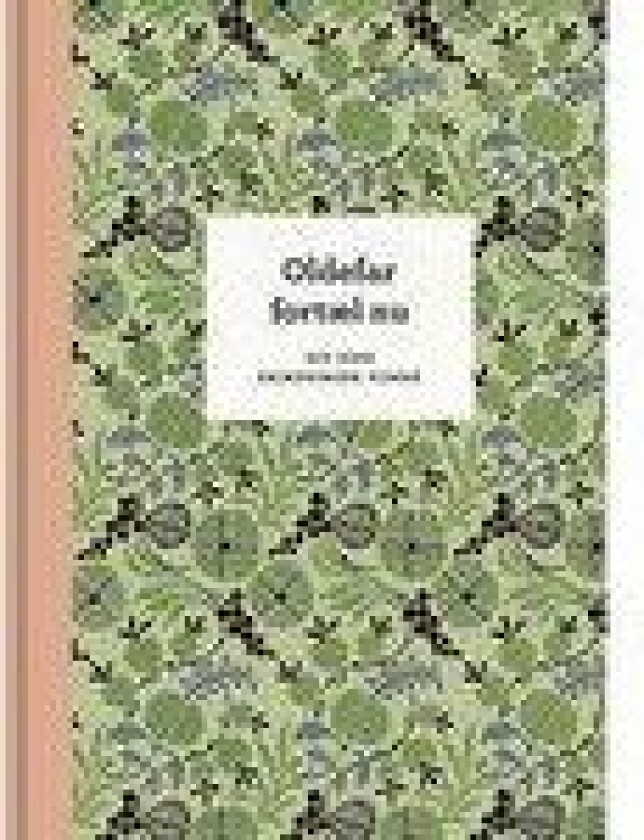 Oldefar, fortæl nu – 3. udg. Elma van Vliet Språk: Dansk