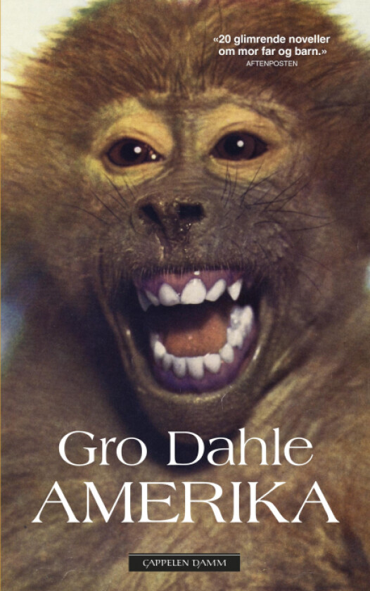 Amerika av Gro Dahle