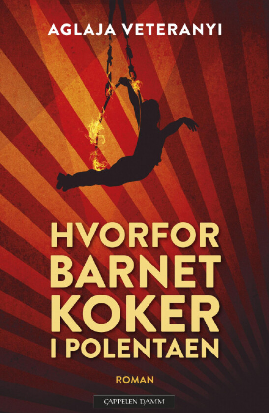 Hvorfor barnet koker i polentaen av Aglaja Veteranyi