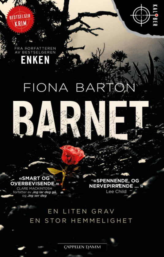 Barnet av Fiona Barton