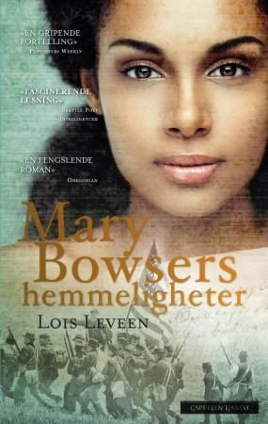 Mary Bowsers hemmeligheter av Lois Leveen