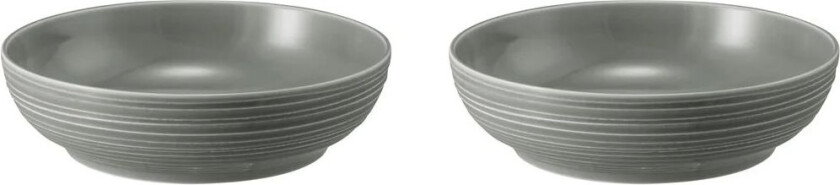 Terra skål Ø 25,5 cm 2-pakning Pearl Grey