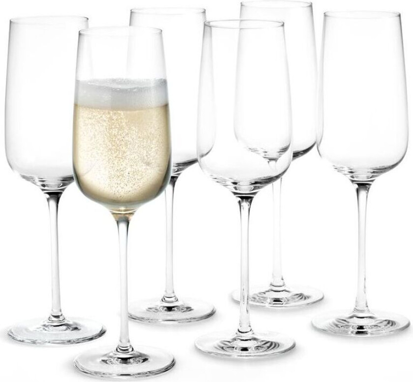 Bouquet champagneglass 6-pakn. 29 cl 29 cl