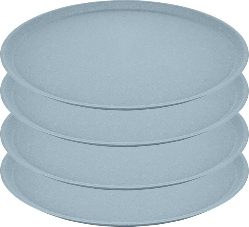 Connect tallerken Ø 25,5 cm 4-pakning Nature flower blue