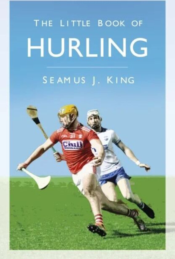 The Little Book of Hurling av Seamus King