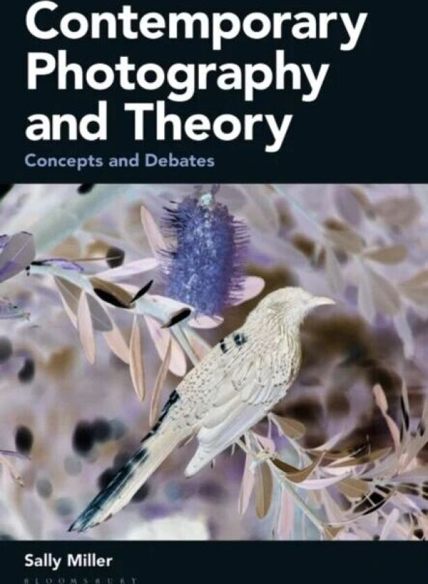 Contemporary Photography and Theory av Sally Miller