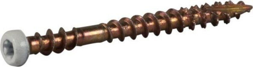 555642 Sokkelskrue 3,9 mm Ø, hvitlakkert, TX10 42 mm, 400-pakning
