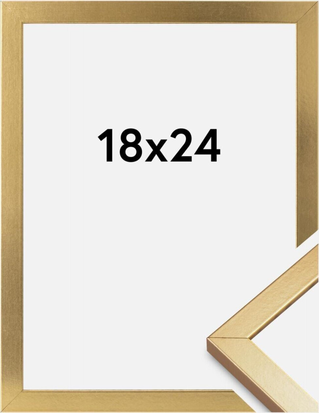 Ramme Minerva Akrylglass Gull 18x24 Cm