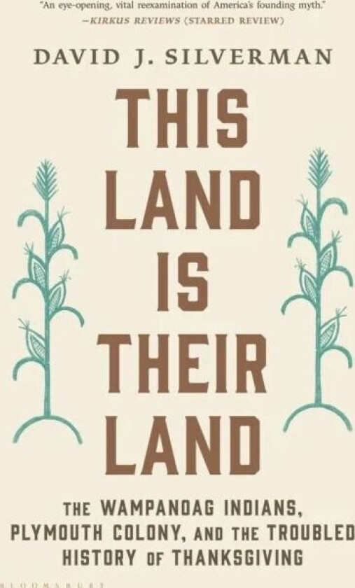 This Land Is Their Land av David J. Silverman