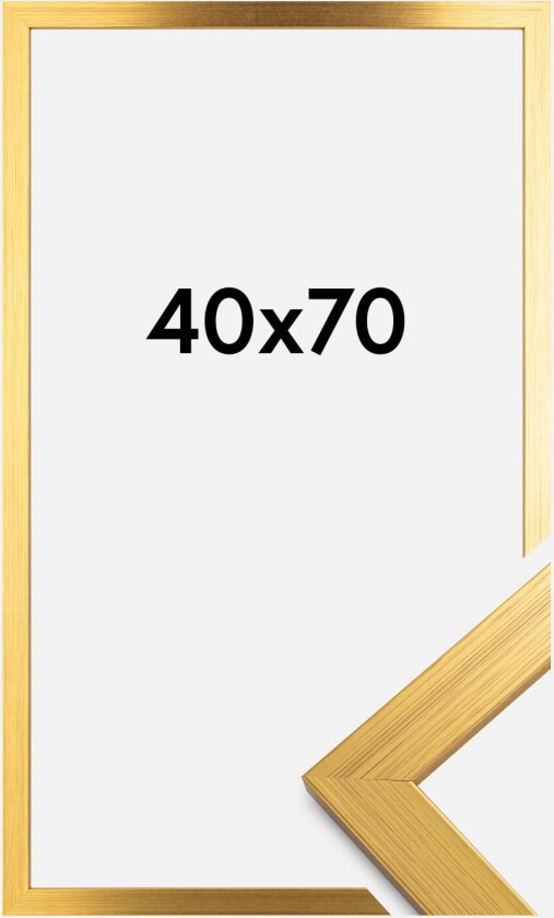 Ramme Gold Wood 40x70 Cm