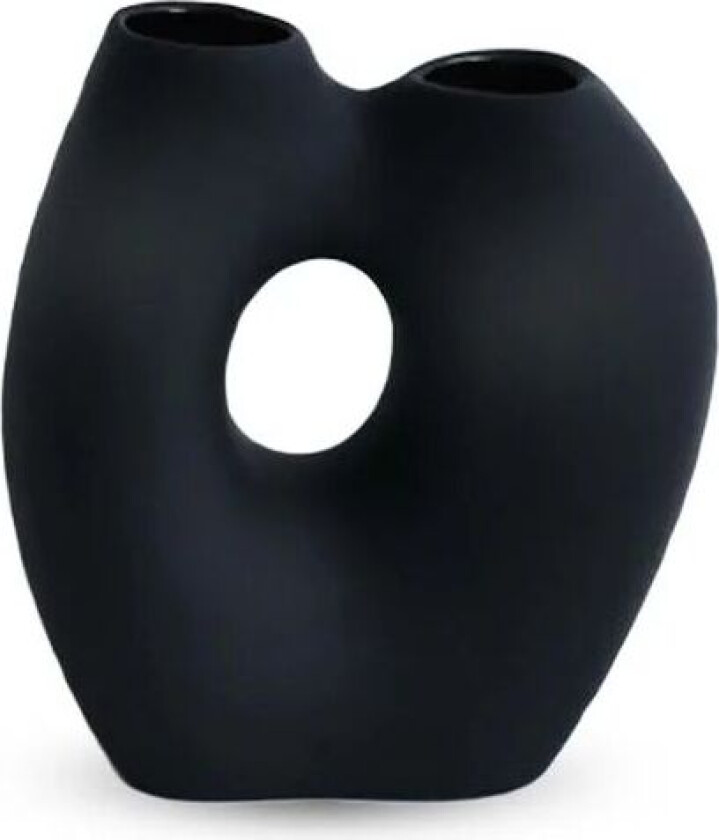 Frodig vase 20 cm Black