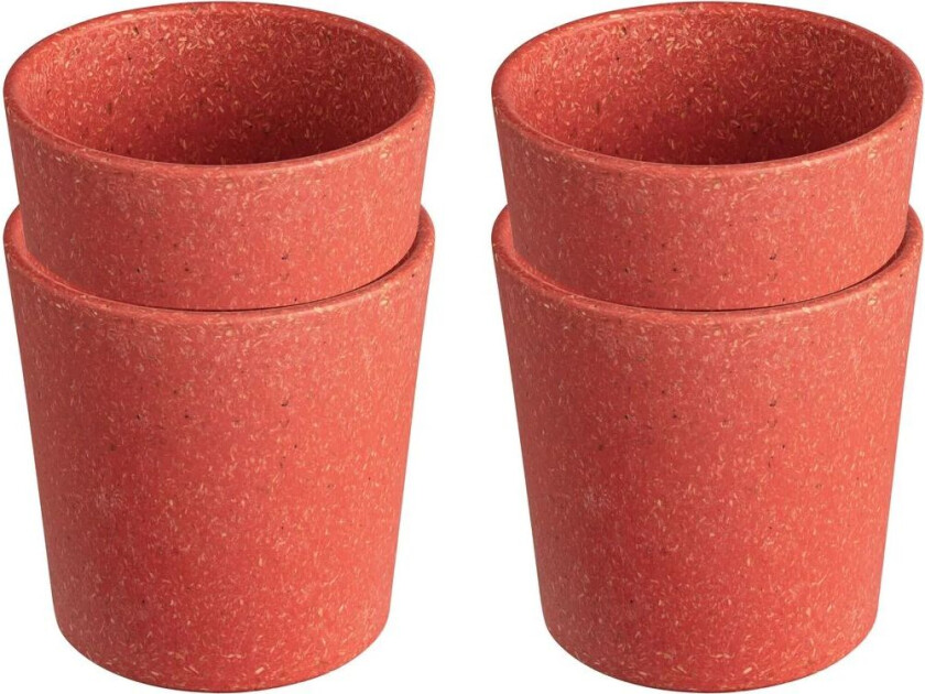 Connect kopp S 19 cl 4-pakning Nature coral