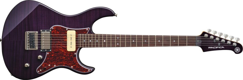 Pa611hfmtpp Elgitar