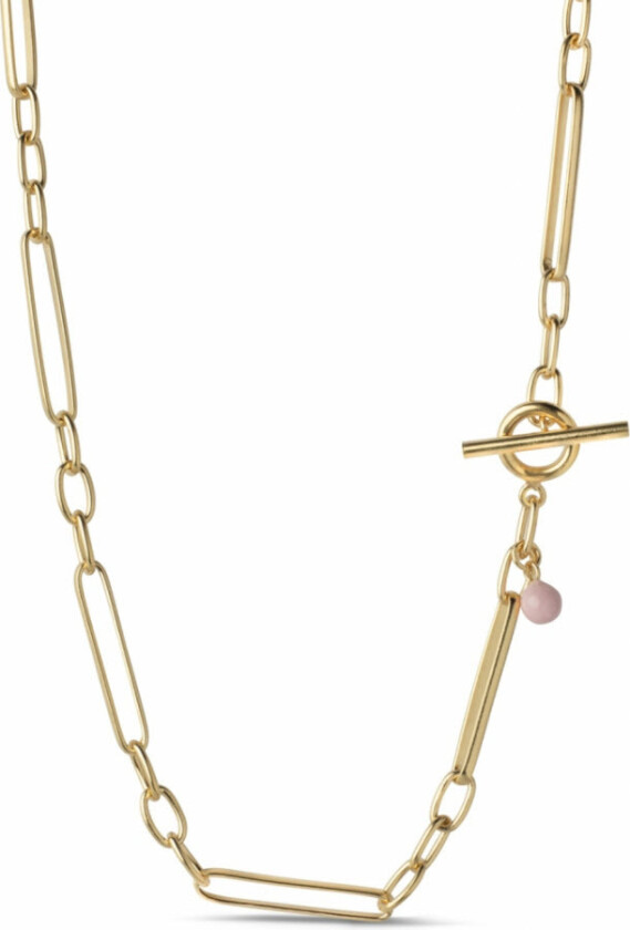 Vilde -   -  -  -  -