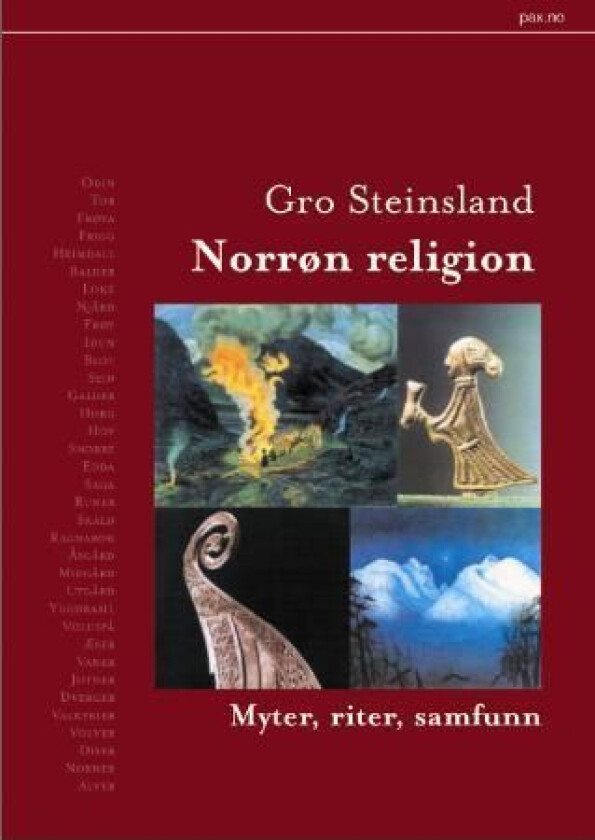 Norrøn religion av Gro Steinsland